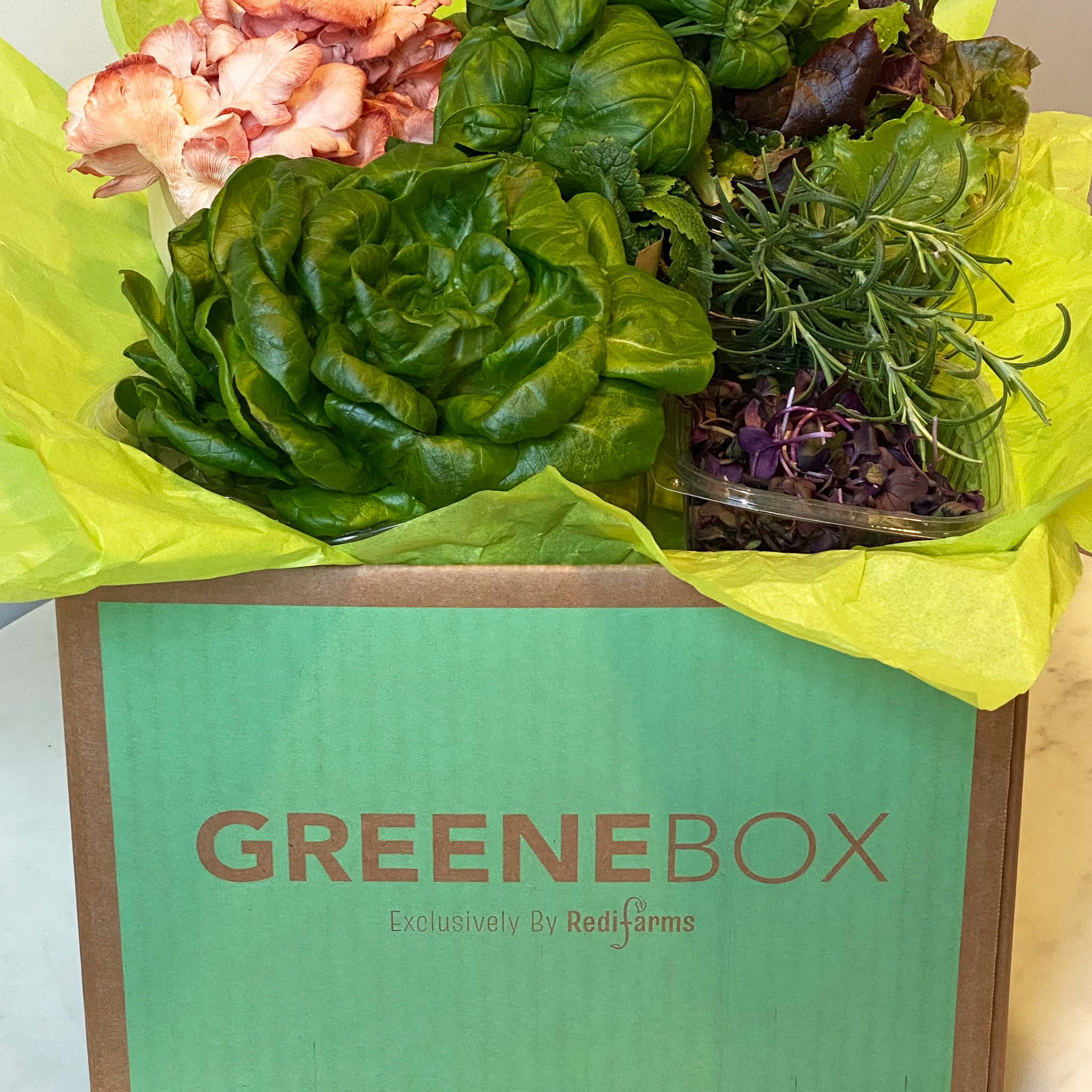 The Greene Box