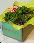 Mushrooms, lettuce, herbs and all the fresh items that come in the Greenebox