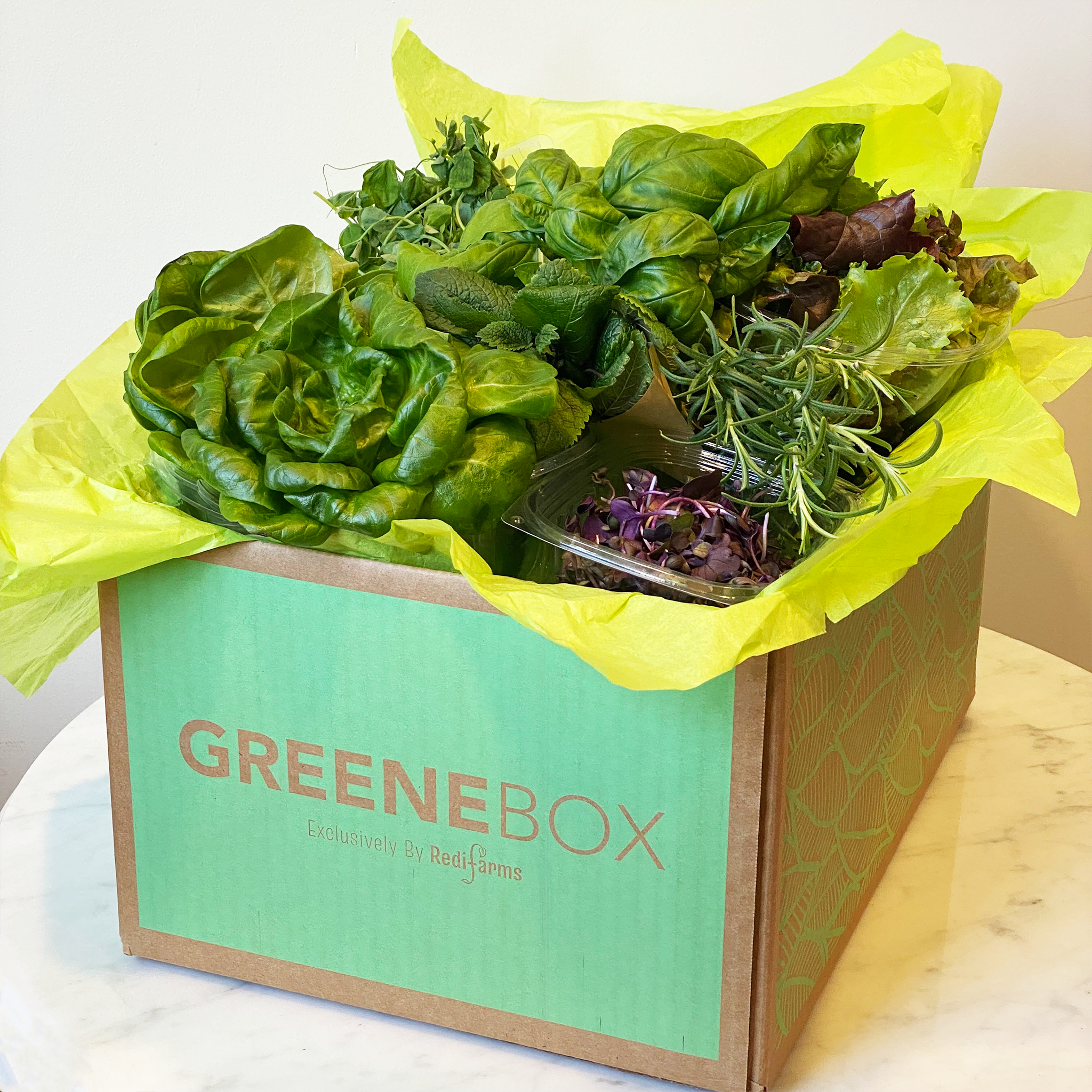 Lettuce and herbs in the Greenebox