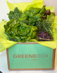 Just Greens! GREENE BOX