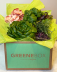 mushrooms, lettuce, herbs in the Greenebox